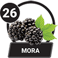 26