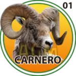 CARNERO