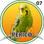 07