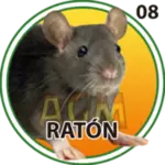 RATÓN