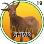CHIVO