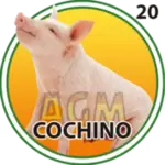 COCHINO
