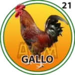 GALLO