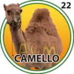 CAMELLO
