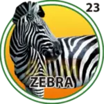 CEBRA