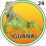 IGUANA