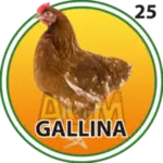 GALLINA