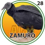 ZAMURO