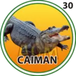 CAIMÁN