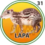 LAPA