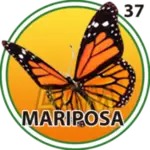 37