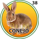 CONEJO