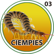 CIEMPIÉS