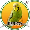 PERICO