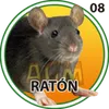 RATÓN