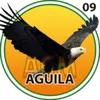 ÁGUILA