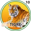 TIGRE