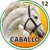 CABALLO