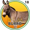 BURRO