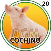 20