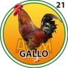 GALLO