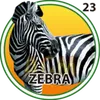 CEBRA