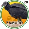 ZAMURO
