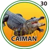 CAIMÁN