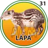 LAPA