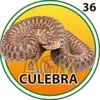 CULEBRA