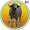 BUFALO