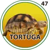 TORTUGA