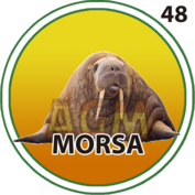 MORZA