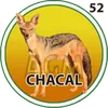 CHACAL