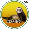 ARMIÑO