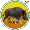 JABALI