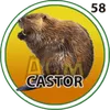 CASTOR