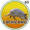 CACHICAMO