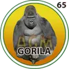 GORILA
