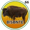 BISONTE