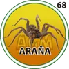 ARAÑA
