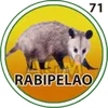 RABIPELAO