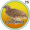 75