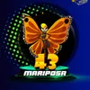 MARIPOSA