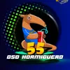 OSO HORMIGUERO