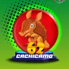 CACHICAMO