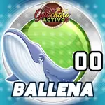 BALLENA