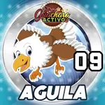 09