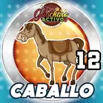 CABALLO
