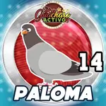 PALOMA